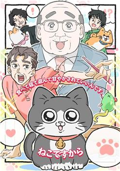 转生成猫的大叔观看