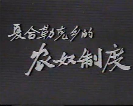 新疆维吾尔族地区夏合勒克乡的农奴制观看