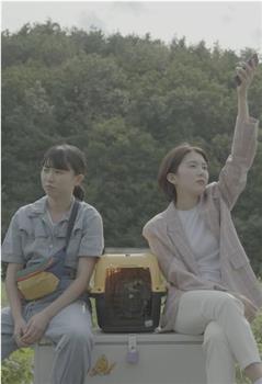 냉장고 안의 코끼리观看