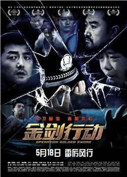 金剑行动观看