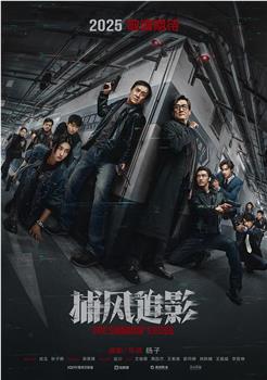 捕风追影观看