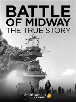 Battle of Midway: The True Story观看