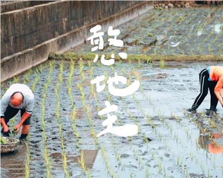 憨地主观看