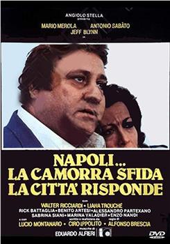 Napoli... la camorra sfida, la città risponde观看