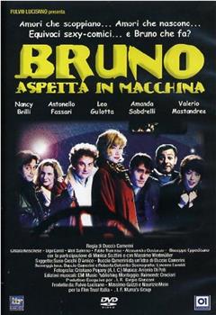 Bruno Is Waiting on the Car观看