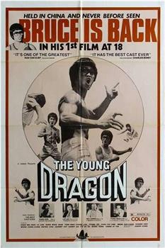 The Young Dragon观看