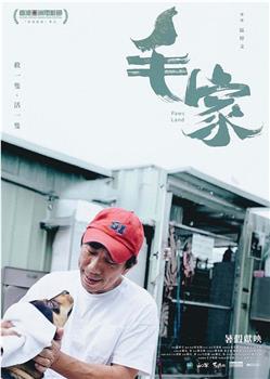 毛家观看