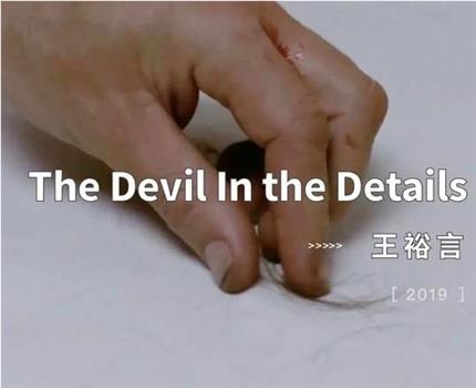 The Devil In the Details观看