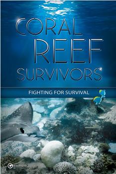 Coral Reef Survivors观看