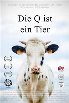 Die Q ist ein Tier观看