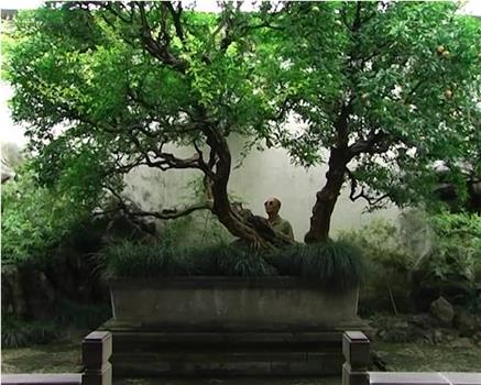 Deng Guo Yuan, in the garden观看