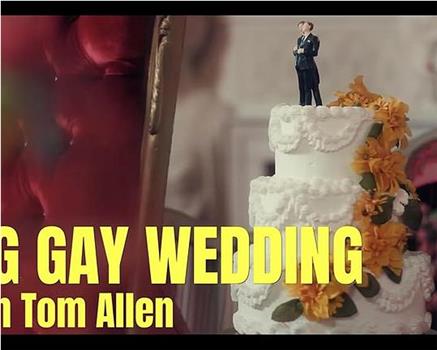 Big Gay Wedding with Tom Allen观看
