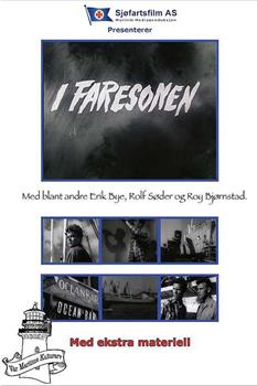 I faresonen观看