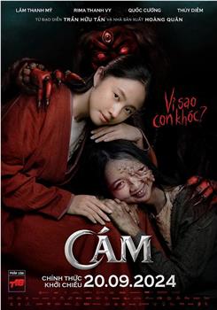 阿糠观看