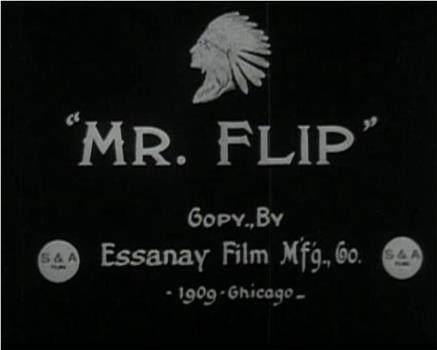 Mr. Flip观看