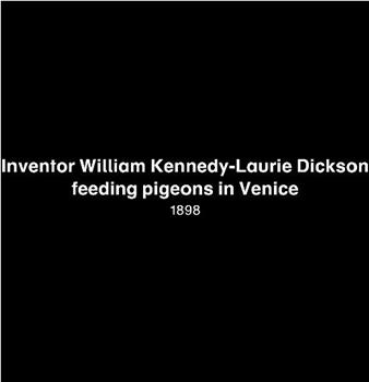 Inventor William Kennedy-Laurie Dickson Feeding Pigeons in Venice观看