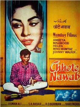 Chhote Nawab观看