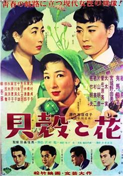 貝殻と花观看