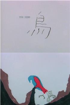 鸟观看