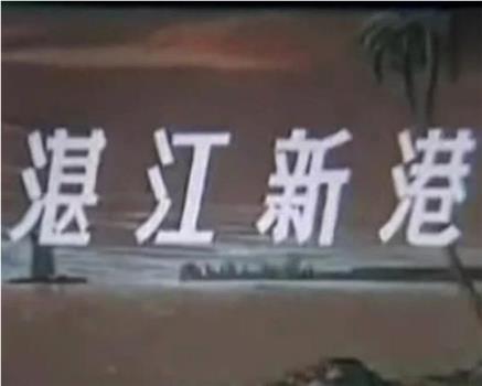 湛江新港观看