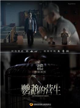 鹦鹉的营生观看