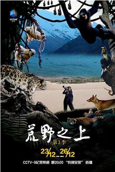 荒野至上 第三季观看