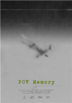 POV Memory观看