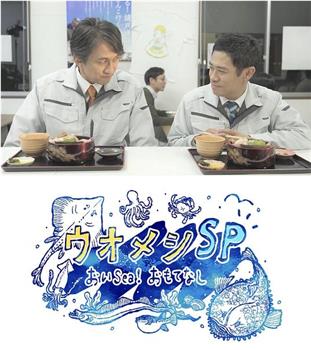 ウオメシSP～おいSea！おもてなし～观看