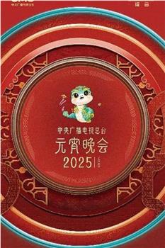 中央广播电视总台2025年元宵晚会观看