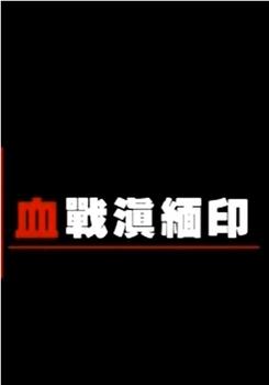 血战滇缅印观看