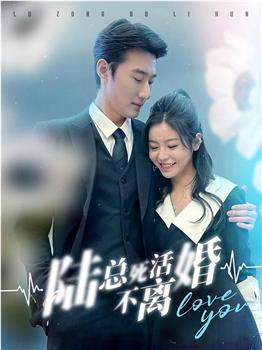 陆总死活不离婚观看
