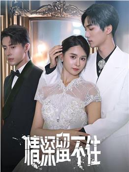 情深留不住观看