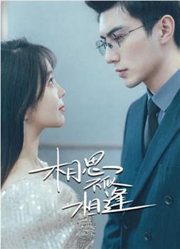 相思不似相逢观看