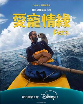 宠观看
