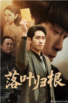 落叶归根观看