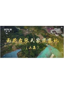 雨花台张氏家族墓地观看