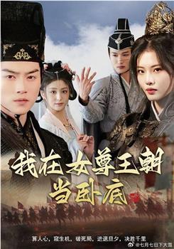 我在女尊王朝当卧底观看