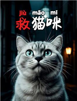 救猫咪观看