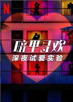 暗里寻欢：深夜试爱实验观看