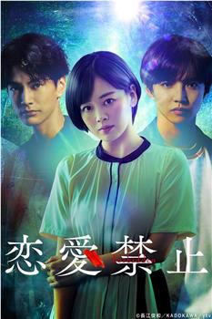 恋爱禁止观看