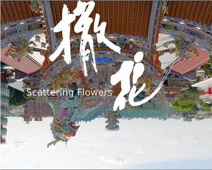 撒花观看