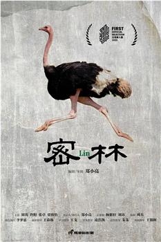 密林观看